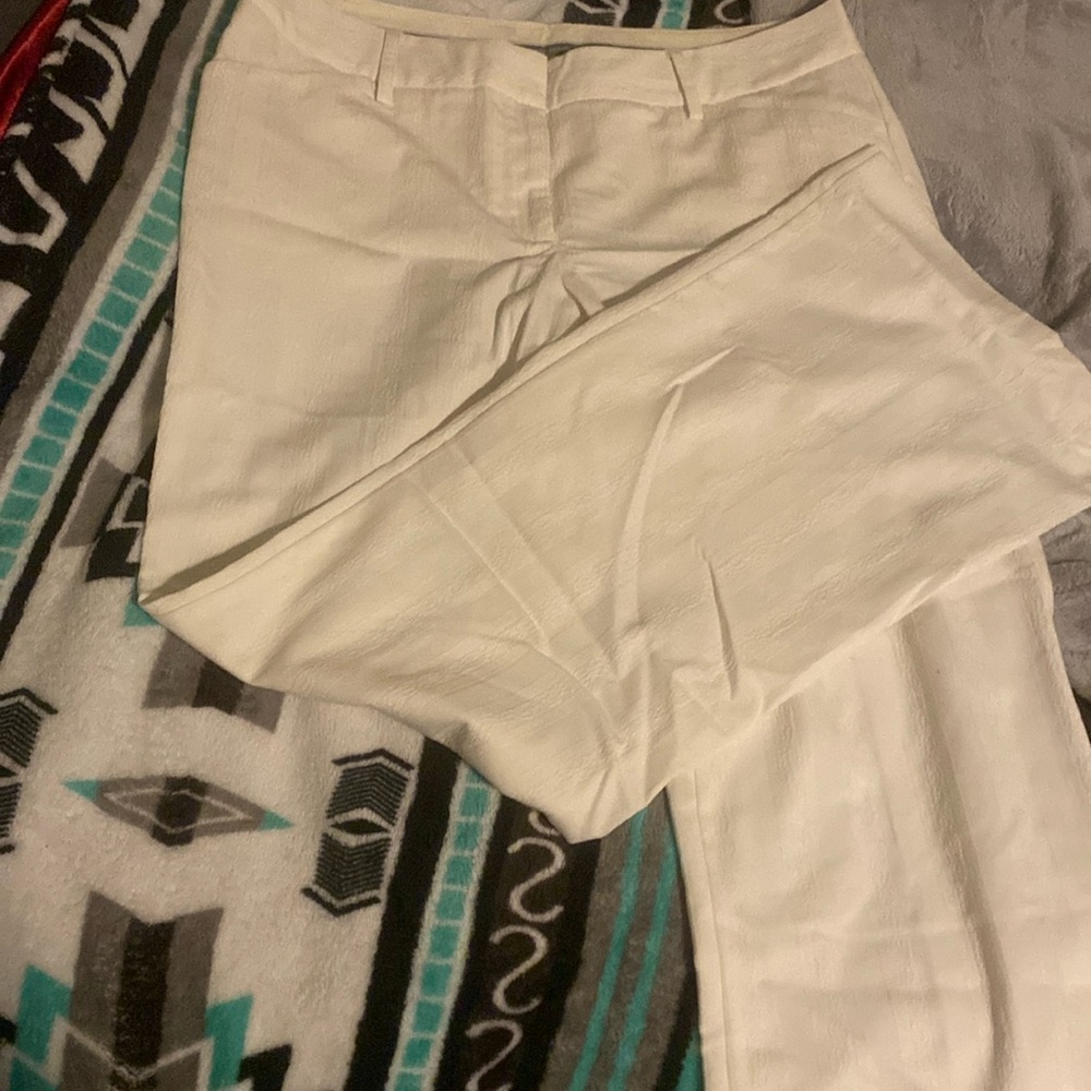 Express design studio pants